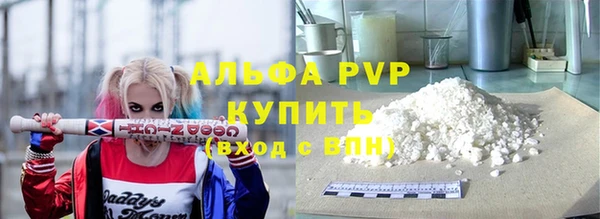 хмурый Абаза