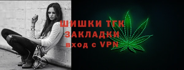 стаф Абинск