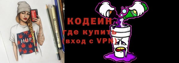 хмурый Абаза