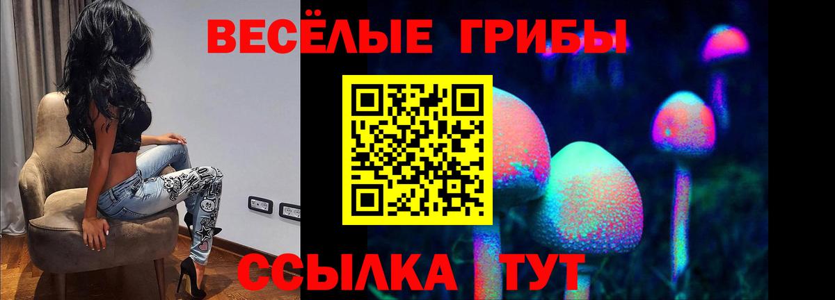 Галлюциногенные грибы Cubensis  Псилоцибиновые грибы MAGIC MUSHROOMS  Вход с VPN  Димитровград 